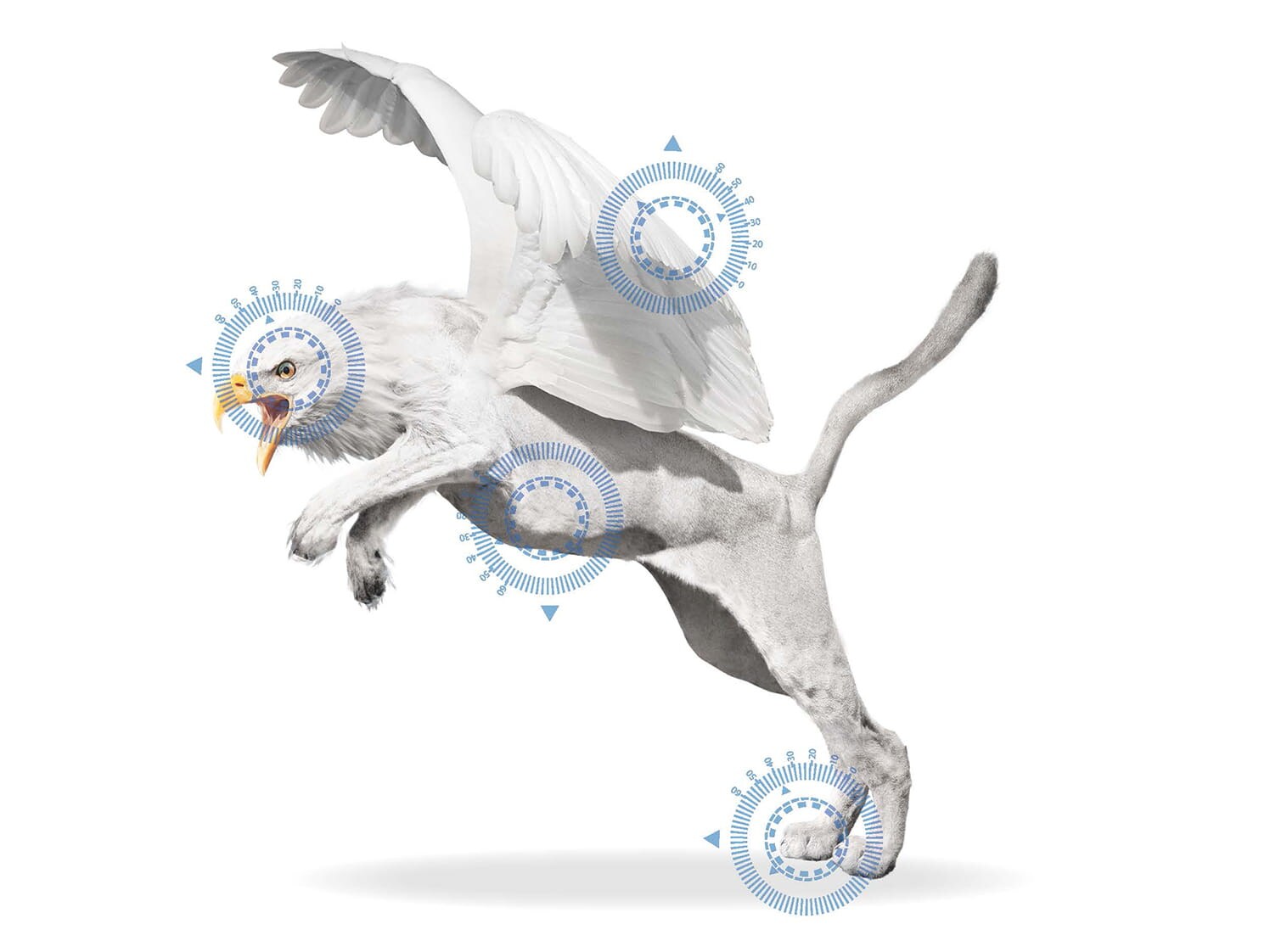 Values of the Gryphax microscope cameras  