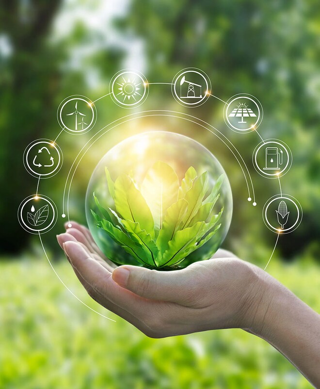 Climate and environment